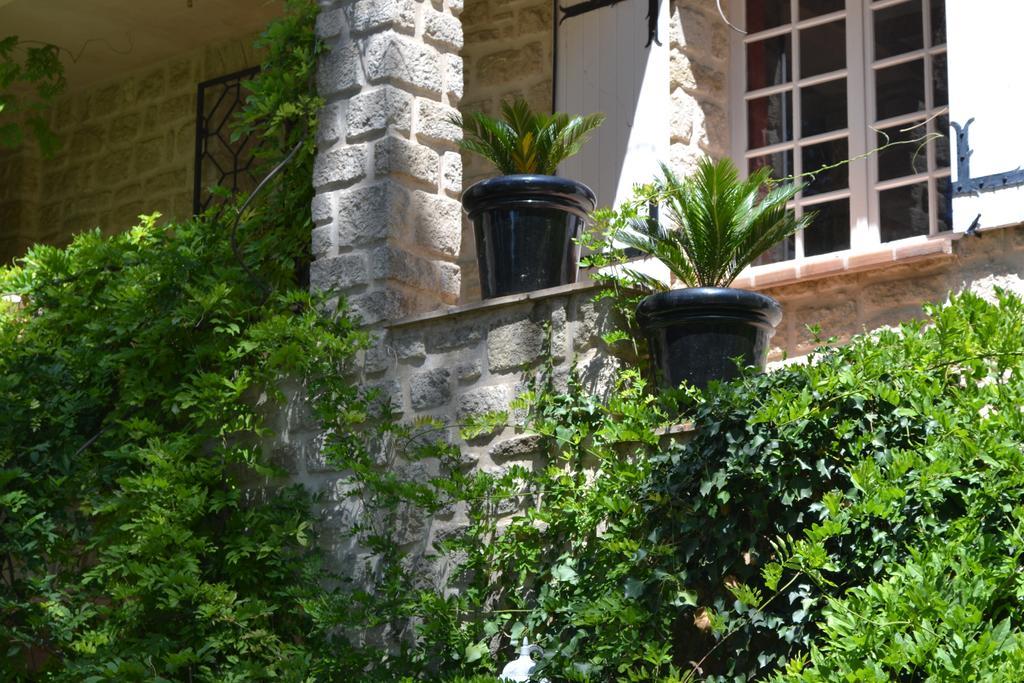 Mas Les Filaos Hotel Carpentras Ngoại thất bức ảnh
